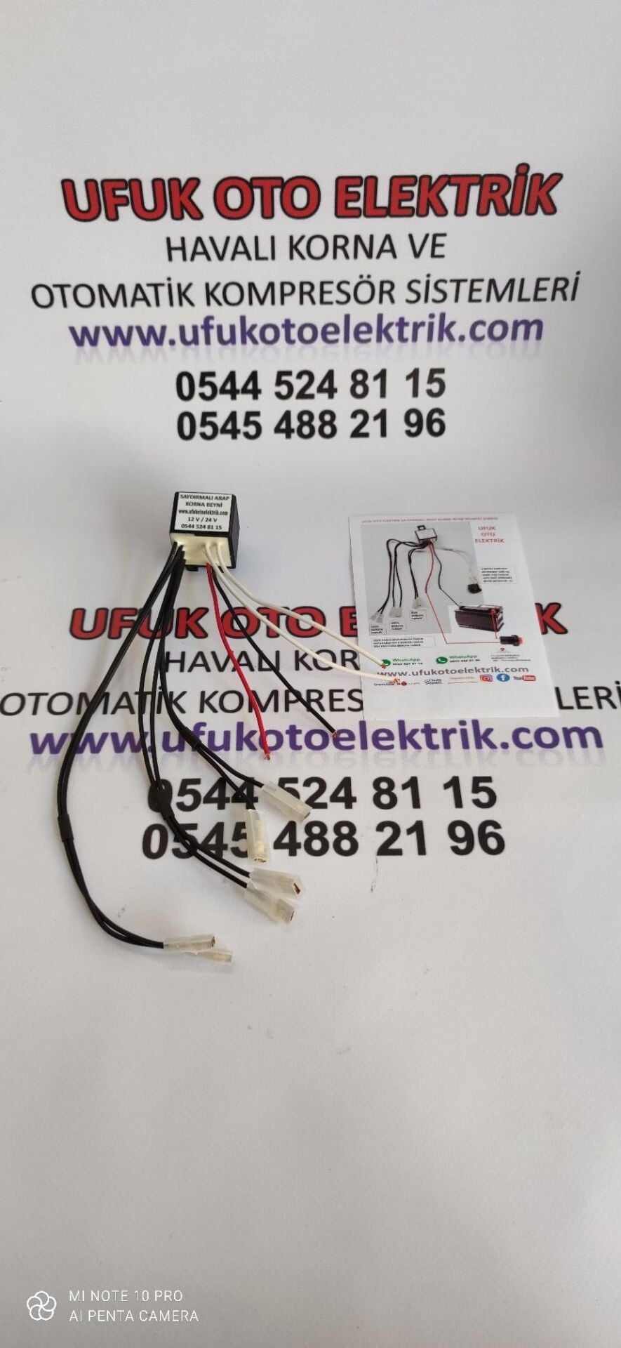 Saydirmali Arap Korna Beyni