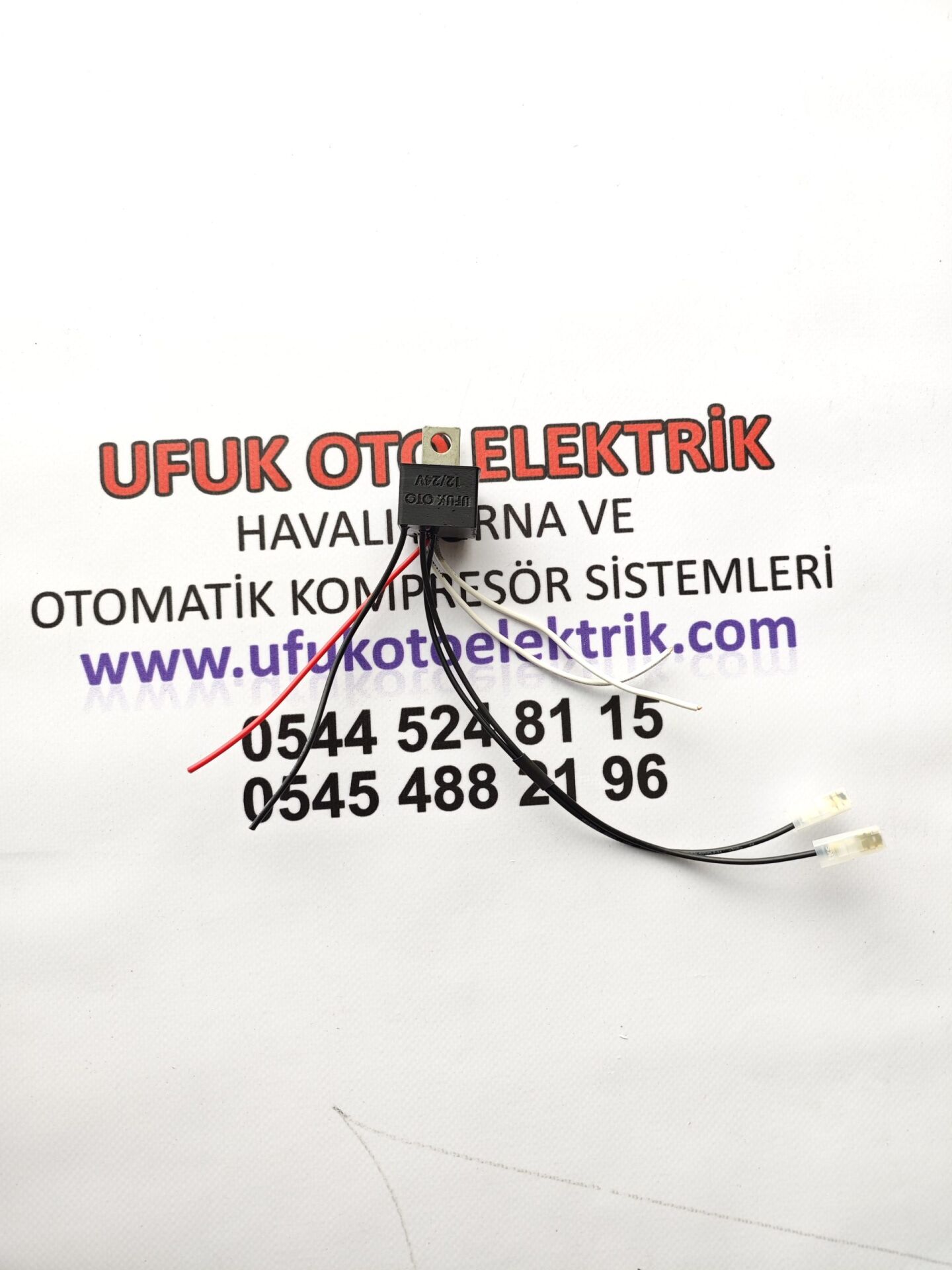 4 melodili tepe marin korna beyni