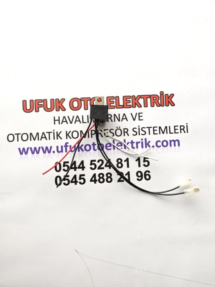 4 melodili tepe marin korna beyni